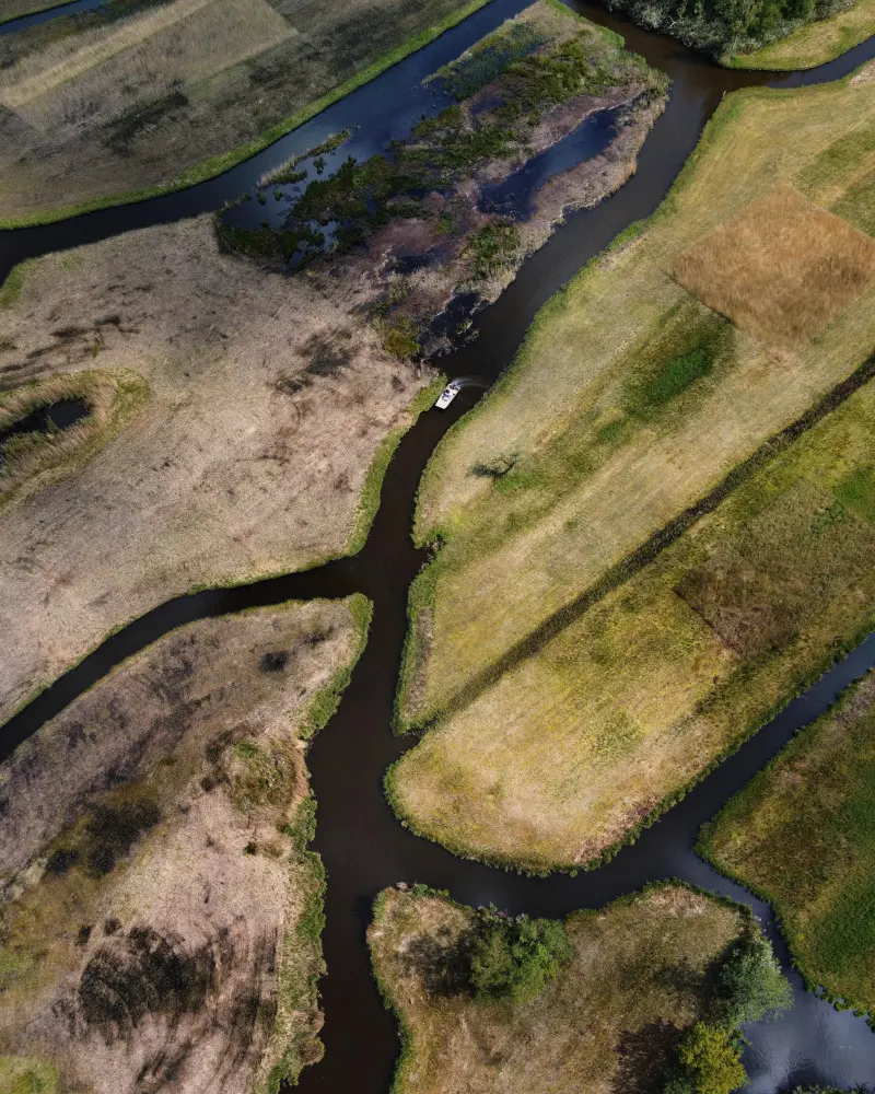 Slingerende sloten door een polderlandschap, vanuit de lucht