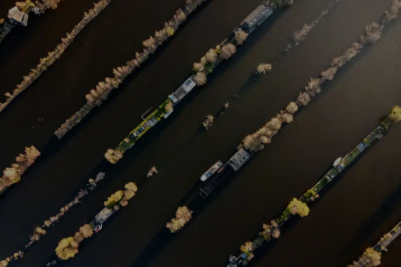 Woonboten tussen rijen bomen op het water, recht van boven gefotografeerd